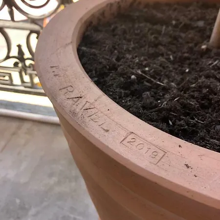 Olive Lejlighed La Ciotat