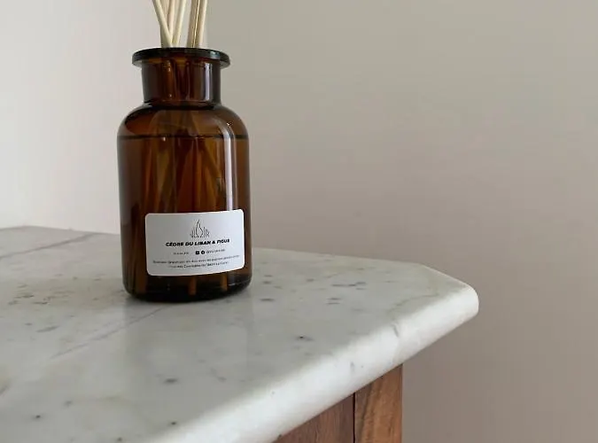 아파트 Olive 라시오타