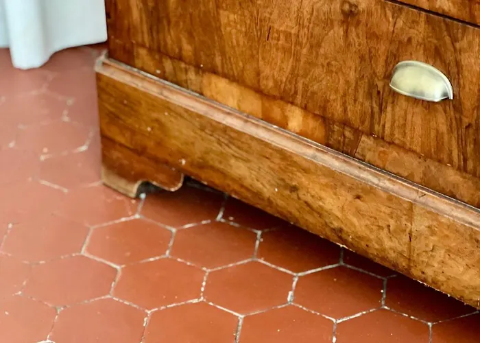 Olive * 라시오타