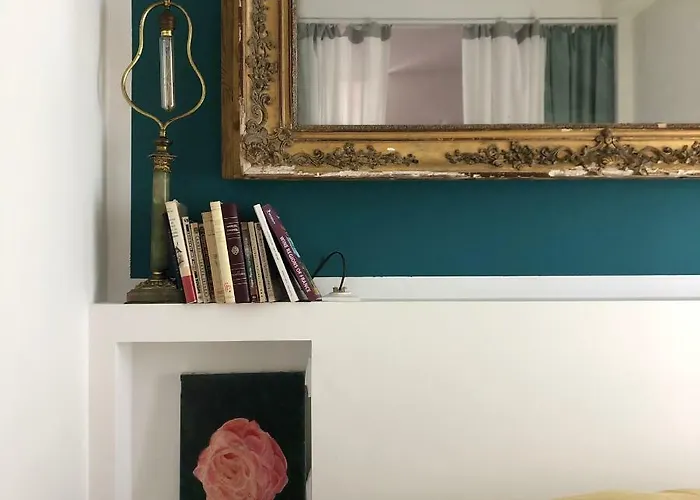 Olive * 라시오타