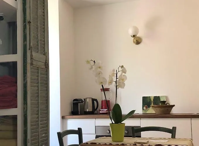 Olive 아파트 라시오타