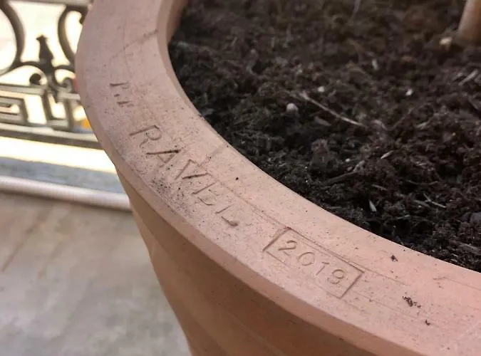 Olive 아파트 라시오타