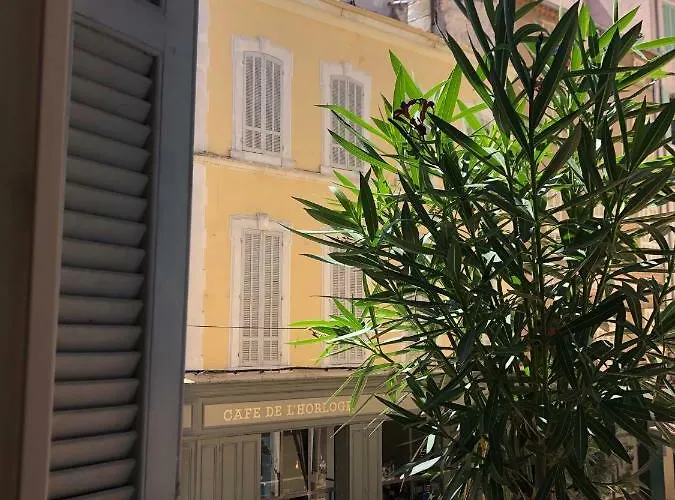 Olive * La Ciotat